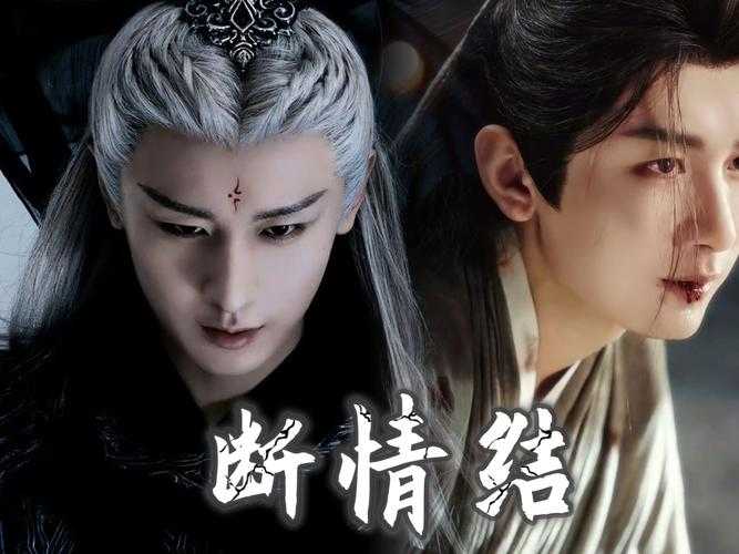 《万道成神夜殇:主角夜殇的成神之路与精彩剧情解析》