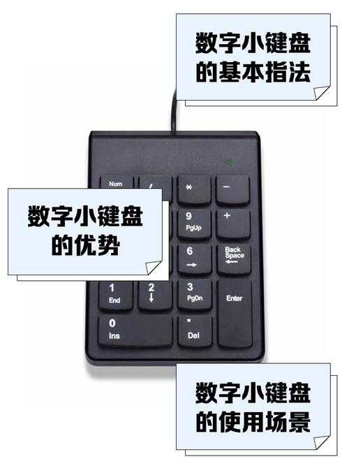 如何提升小键盘数字输入的速度技巧？