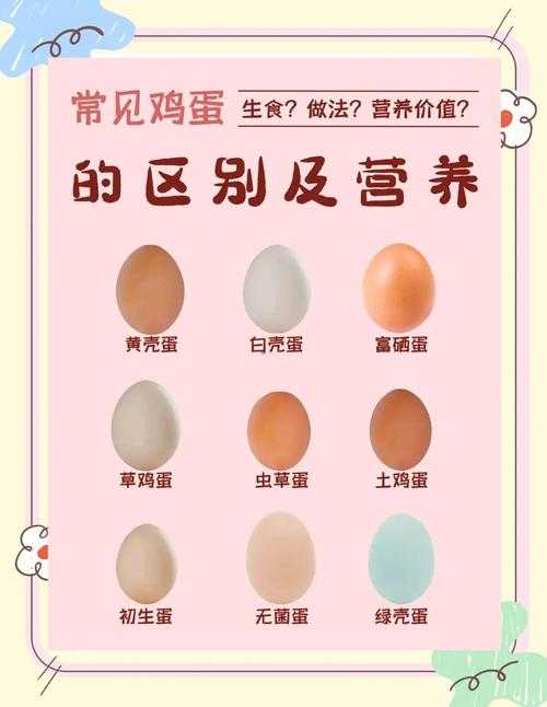鸡蛋怎么得