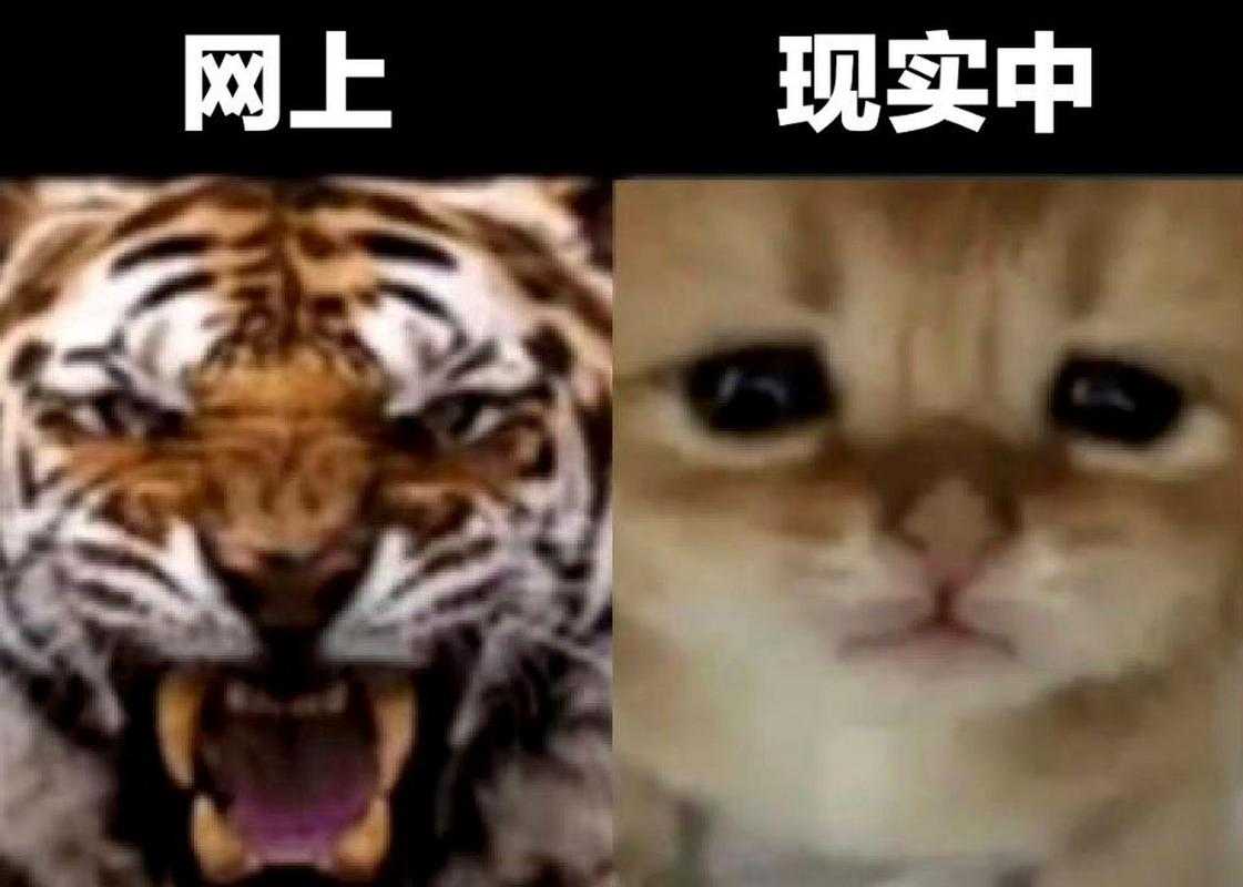 游戏VS现实反差萌表情包:虚拟与真实的搞笑对比合集