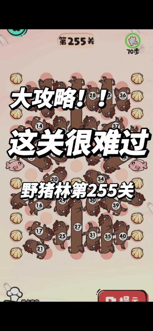 第255关怎么过