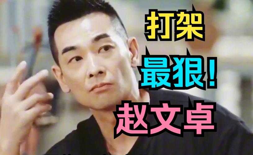 赵文卓五毒功电影《五毒》精彩片段与幕后花絮全集