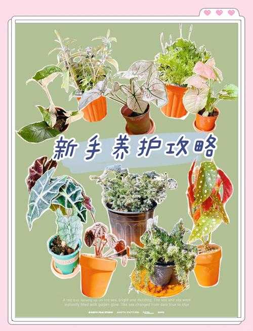 最强植物排行榜是怎样