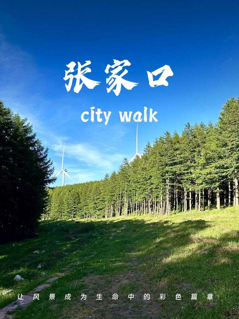 张家口手机台app官方下载-本地资讯生活服务平台