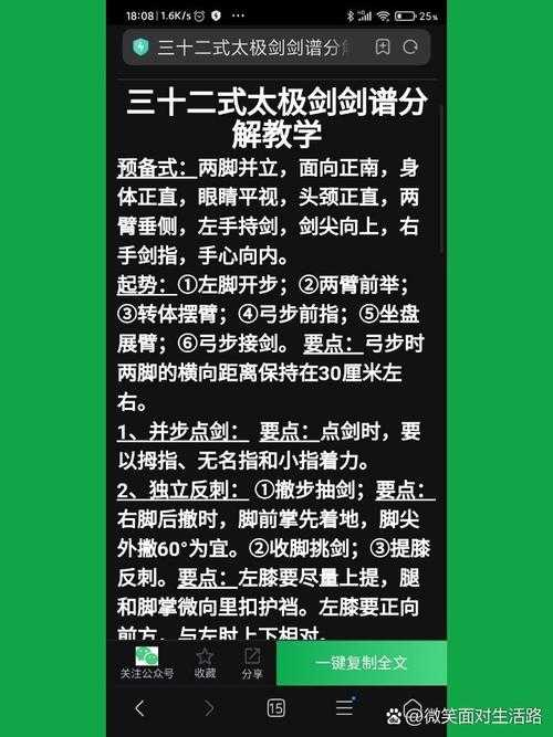 吴阿敏三十二式太极剑背向演练完整版带口令教学视频