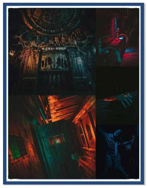 揭秘五号房间:探索神秘空间背后的故事与真相