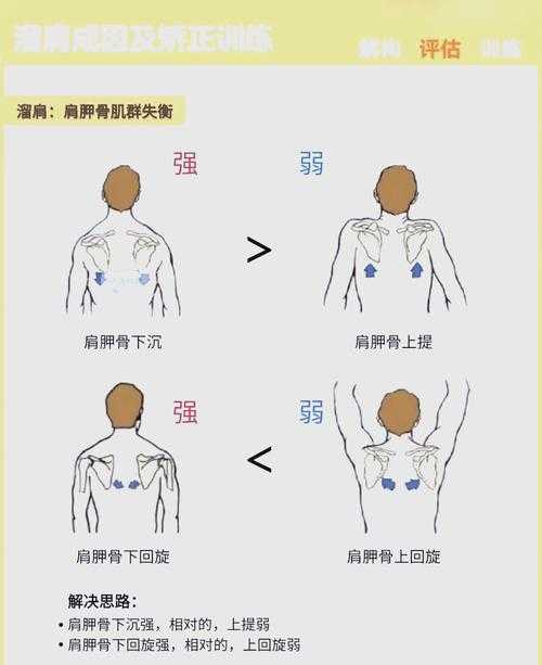 肩射是什么意思？肩射的定义、原理及实战应用全解析