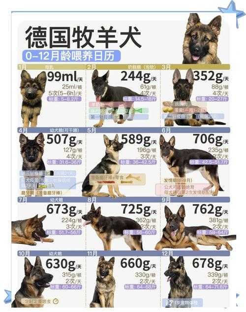 萌宠特遣队新手必问:宠物怎么培养?