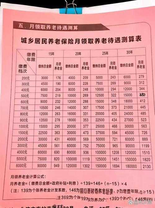 城乡居民基本养老保险基金绩效评价报告:全面分析与优化建议