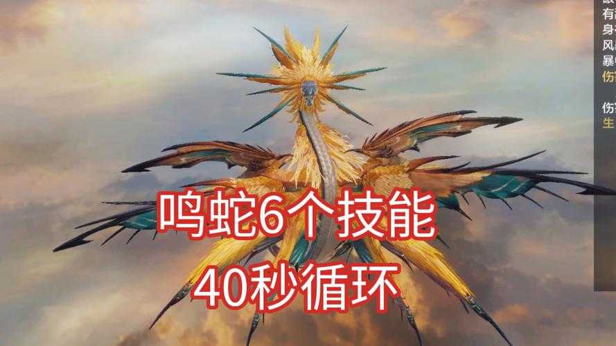 妄想山海进化宠物哪个最强