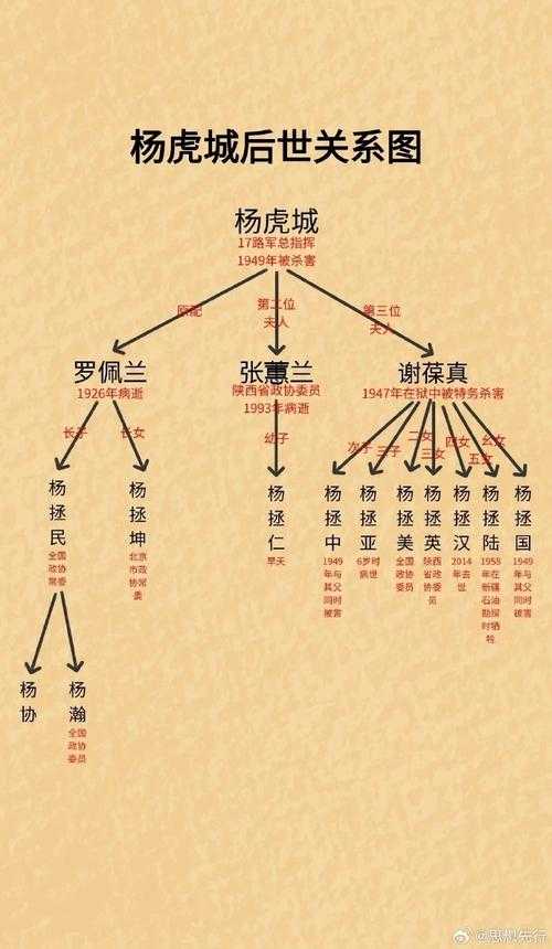 张星彩和关银屏是什么关系?历史渊源与人物关系解析