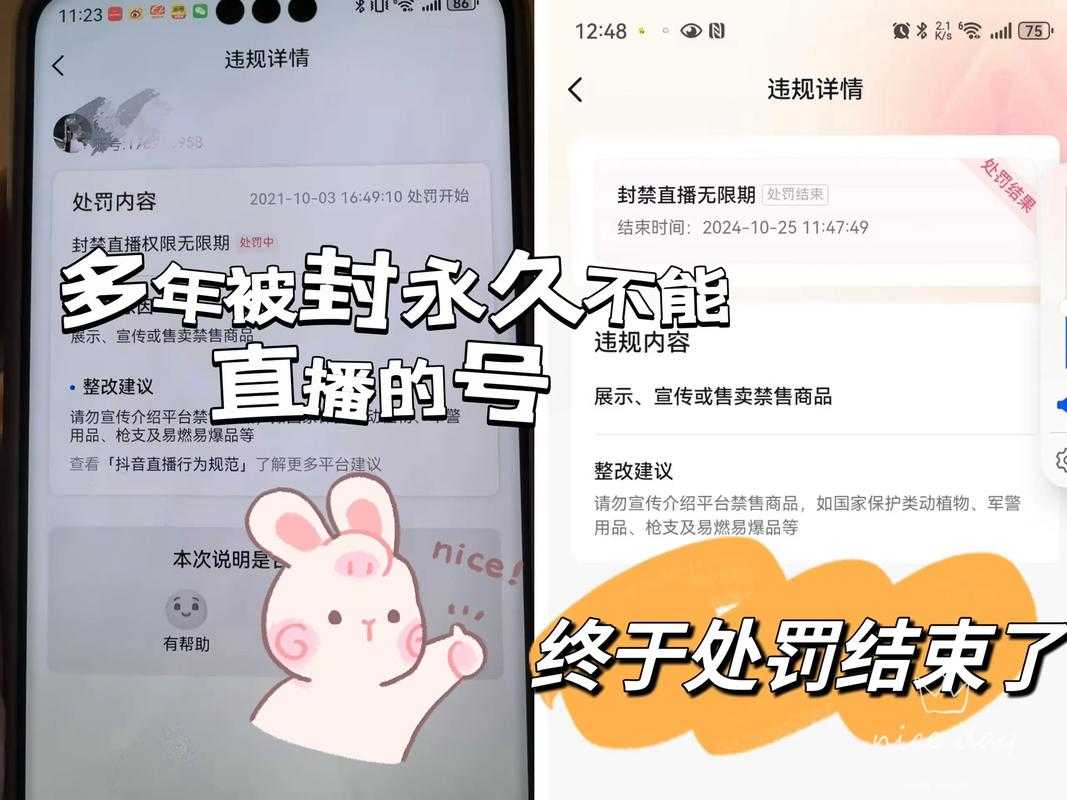 如何安全有效地使用抖音避免账号被封?