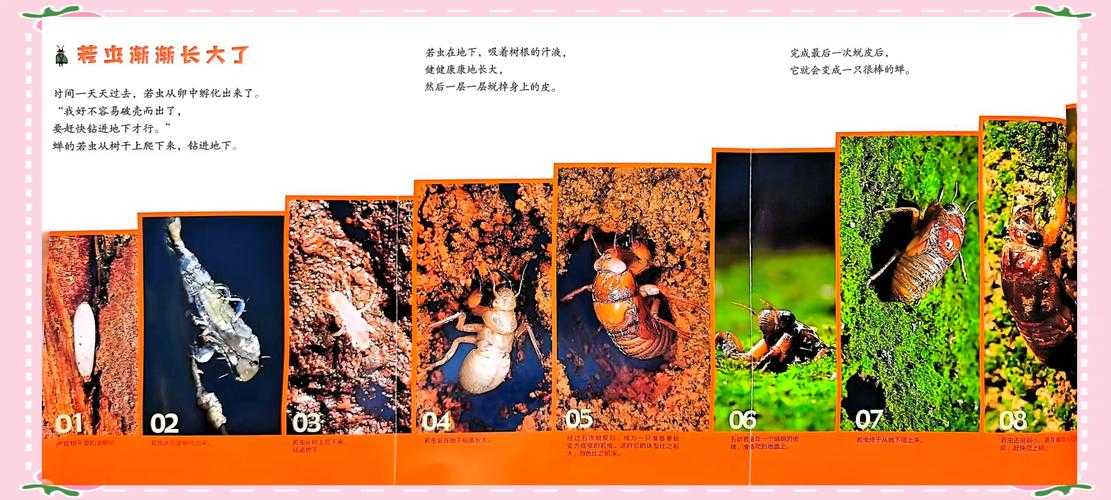 生命奇迹:探索自然与人类创造的不可思议现象