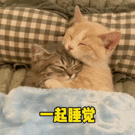 《一起来睡觉免费高清完整版在线观看》
