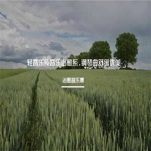 八音盒音乐网 - 经典八音盒音乐在线试听与下载