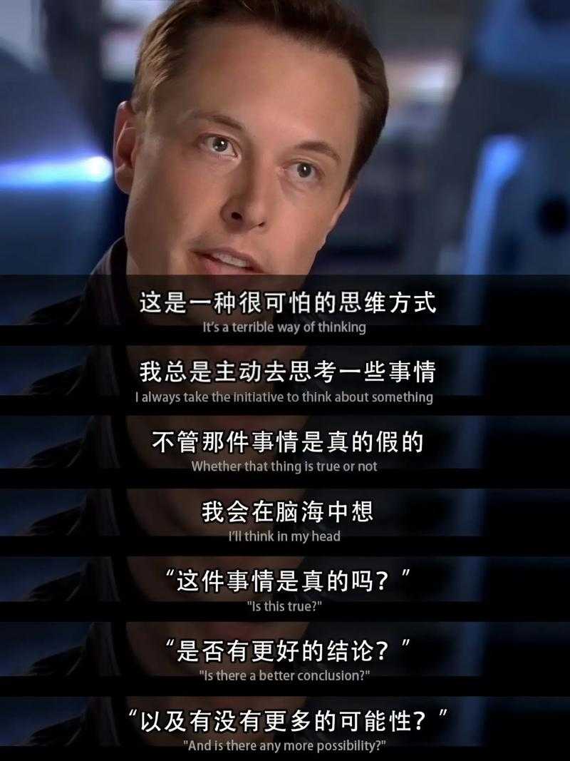 亚历克斯福克斯:揭秘成功背后的故事与策略