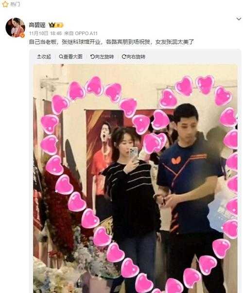 张继科刘诗雯恋情回顾:从体坛金童玉女到各自安好的情感历程