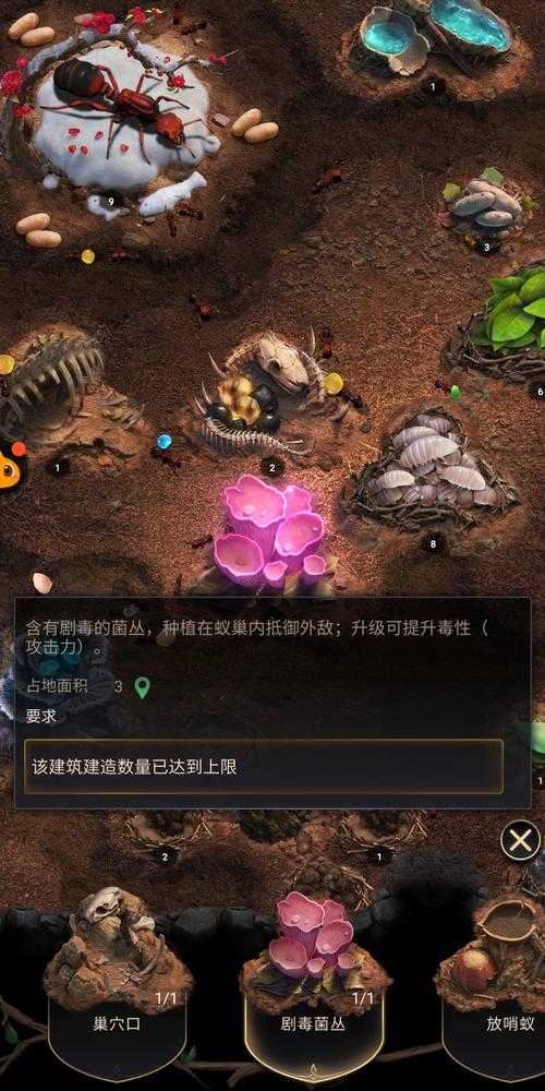 小小蚁国为什么显示地区暂未开启