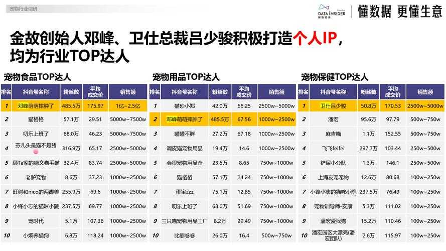 《DNF》宠物系统版本迭代深度分析报告(2022-2025)