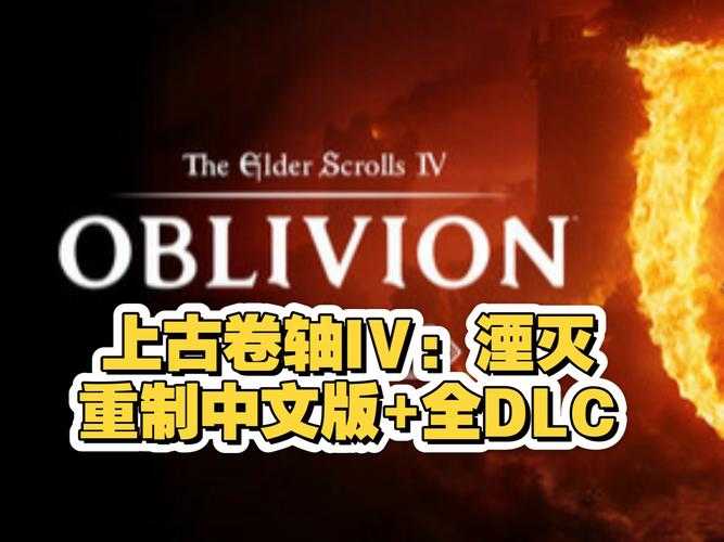 2025《上古卷轴IV:湮灭》全平台安全下载指南