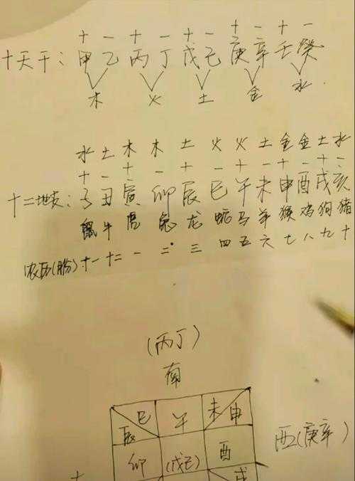生肖数字配对：揭秘生肖与数字之间的神秘联系？