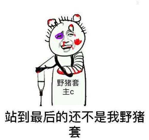 如何获取与提升100级假猪套的战斗性能?