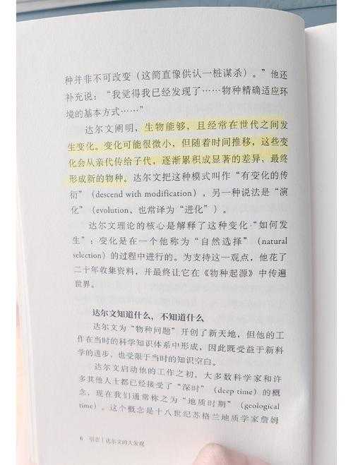 亚大伯斯:探索神秘起源与未知力量的全新解读
