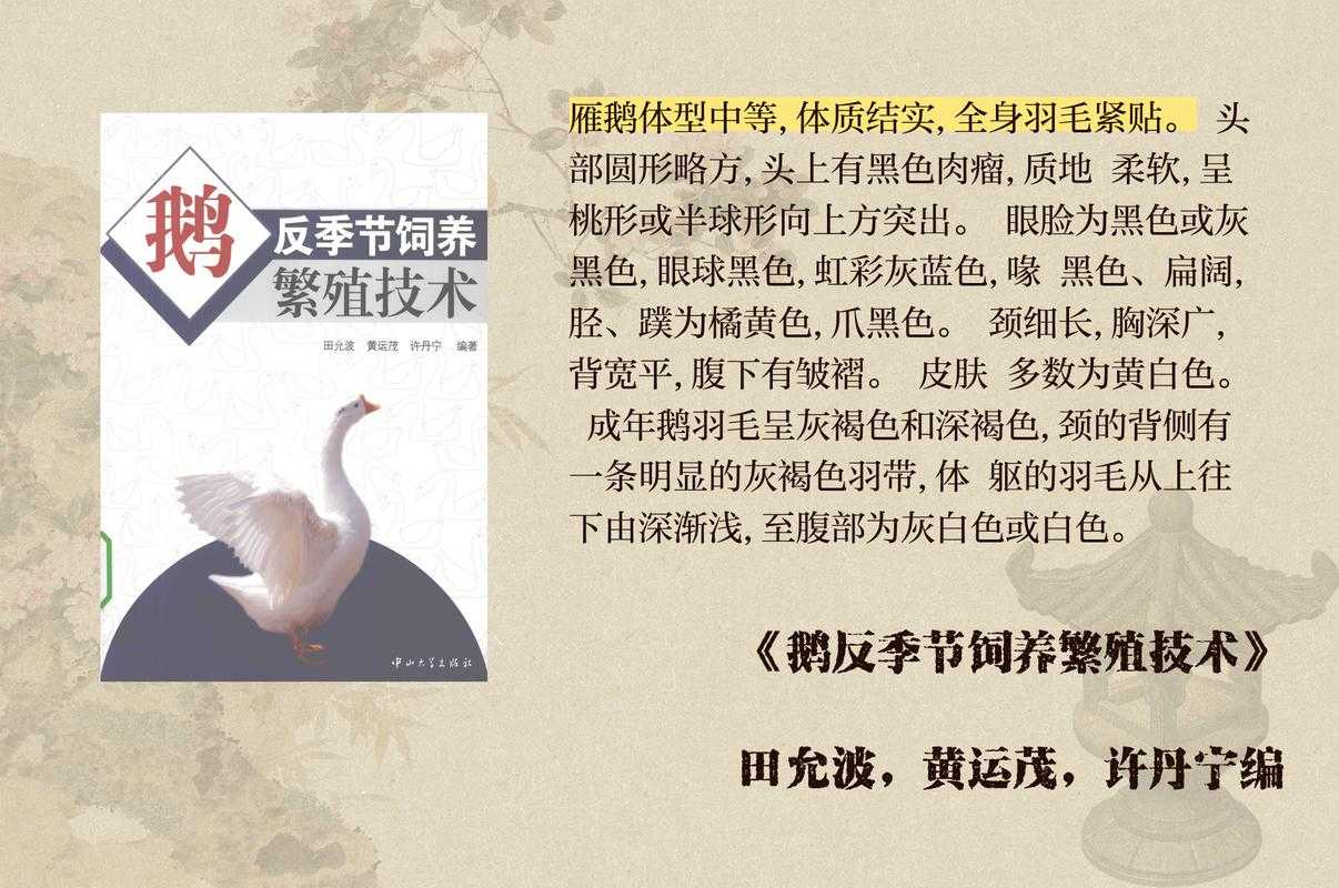 家鹅野性基因：驯化史与生态文化密码