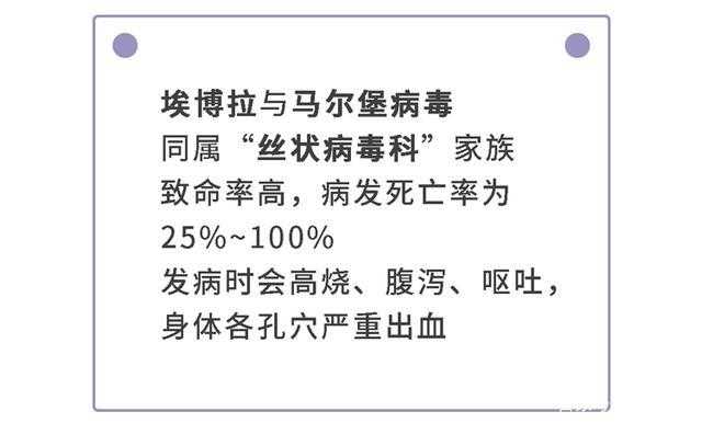 全球首个埃博拉病毒治疗方法银马泽伯的生产厂商是再生元制药公司