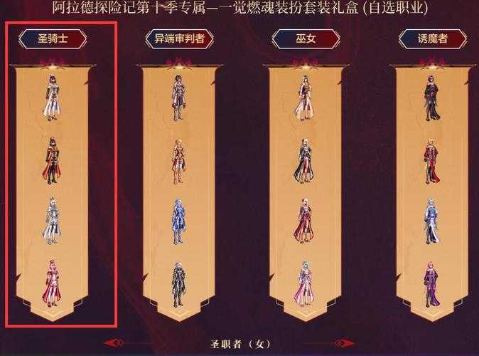 女圣骑士如何选择适合其110版本的装备？兼顾力量与智慧的完美搭配攻略