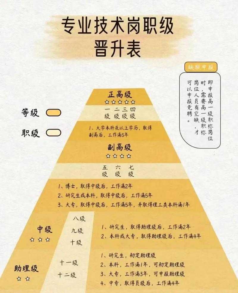 五个等级称谓详解:从初级到高级的完整划分体系