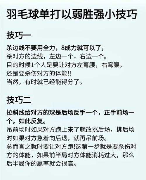 新手攻略:掌握这些技巧让你成为高手