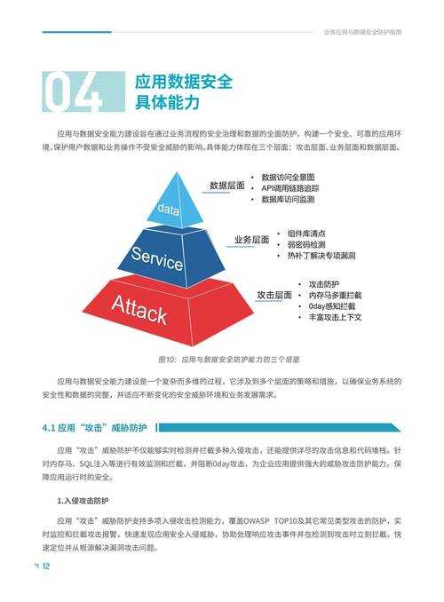2025年debride技术发展现状与行业应用指南