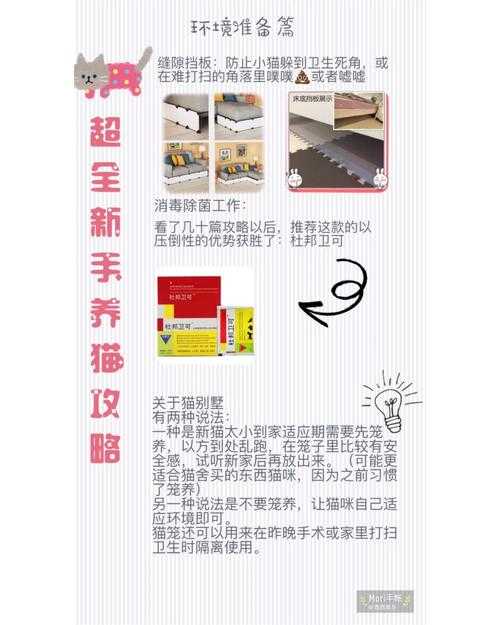 新手首次购物1499台币怎么花?血赚攻略