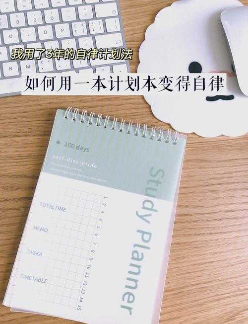 2025智能自律革命:Discipline S重构效率