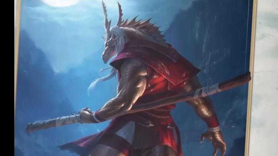 2025DND武僧禅武双修与职业平衡