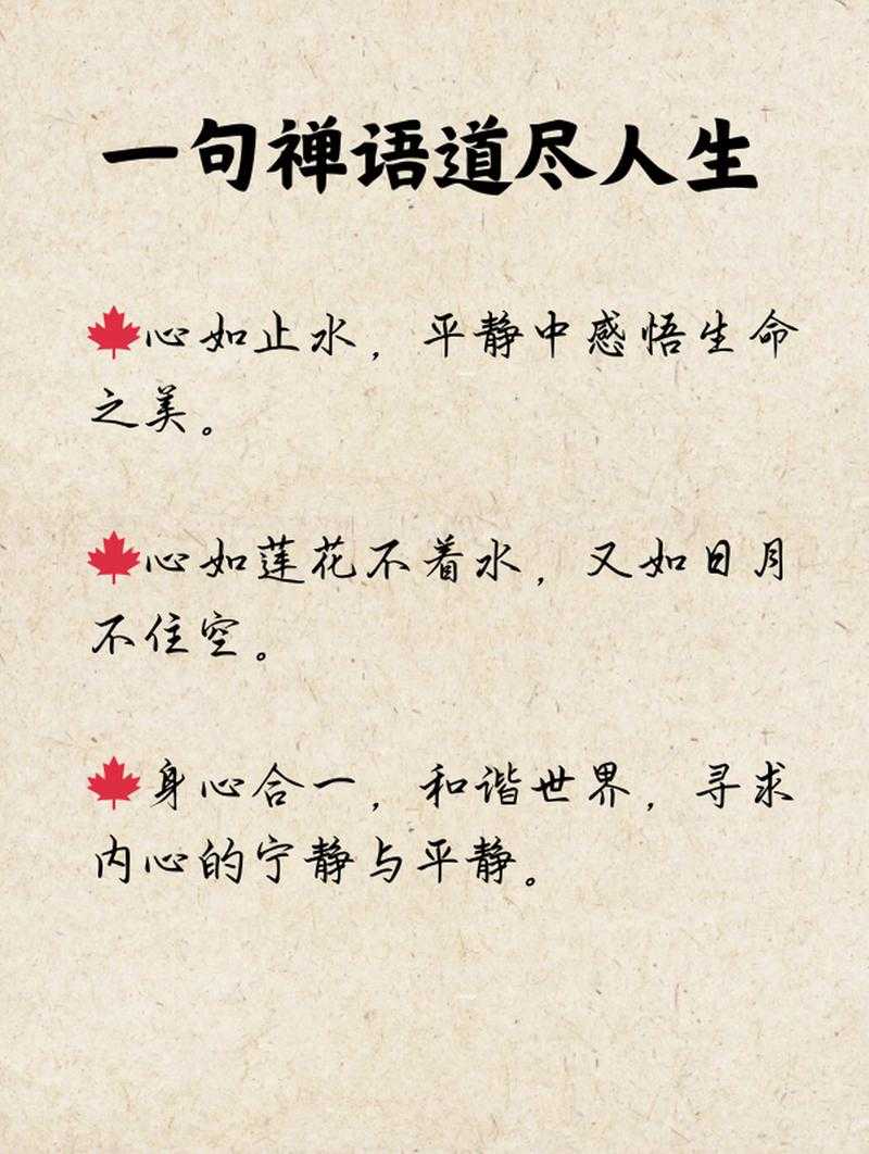 一日一禅语：每日一句智慧禅语，净化心灵提升人生境界