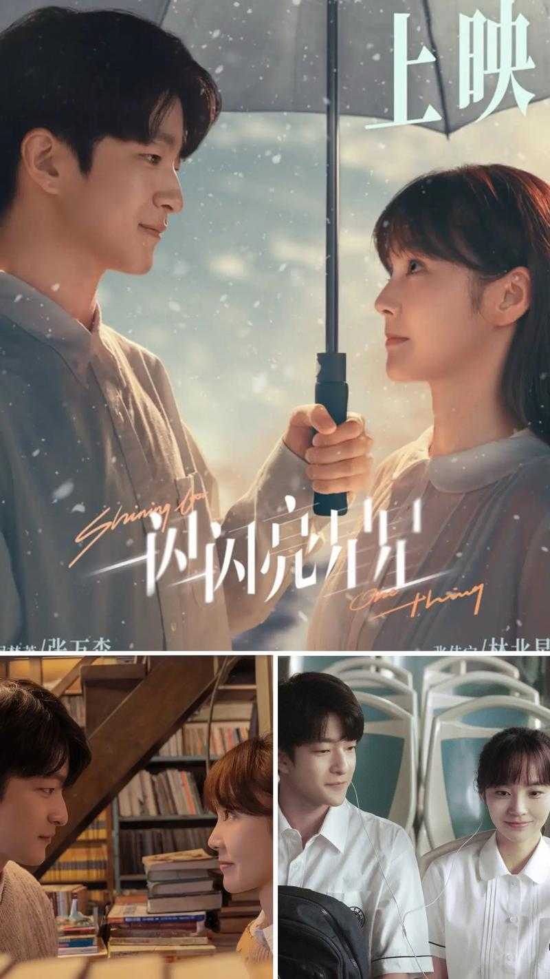 《一闪一闪亮星星》电视剧全集免费观看高清完整版-在线播放