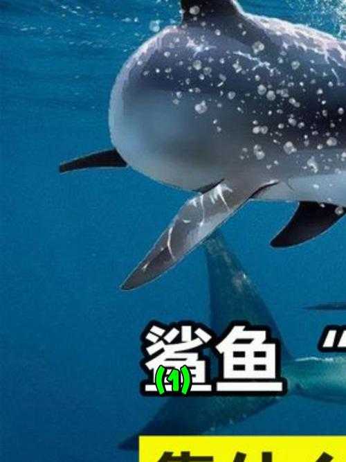 揭秘什么动物百战不败？这种神奇生物从未被击败