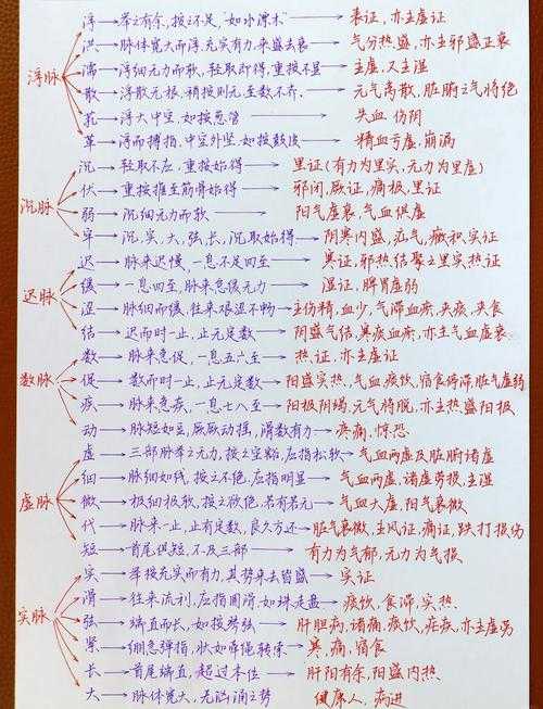 什么叫脉动?脉动的定义与作用解析