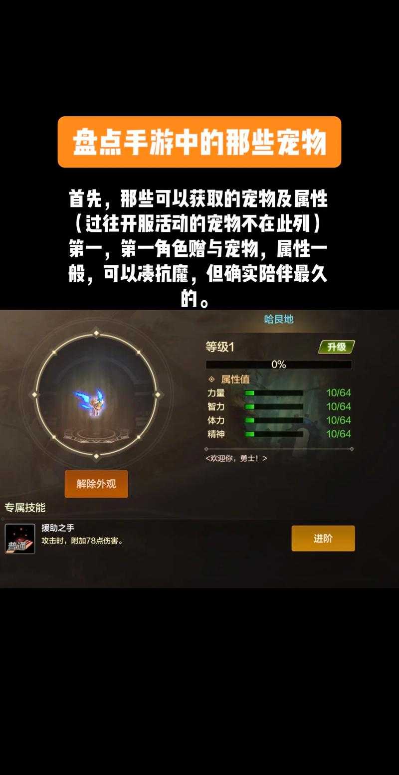 DNF宠物系统取消饱食度,启用能量槽机制