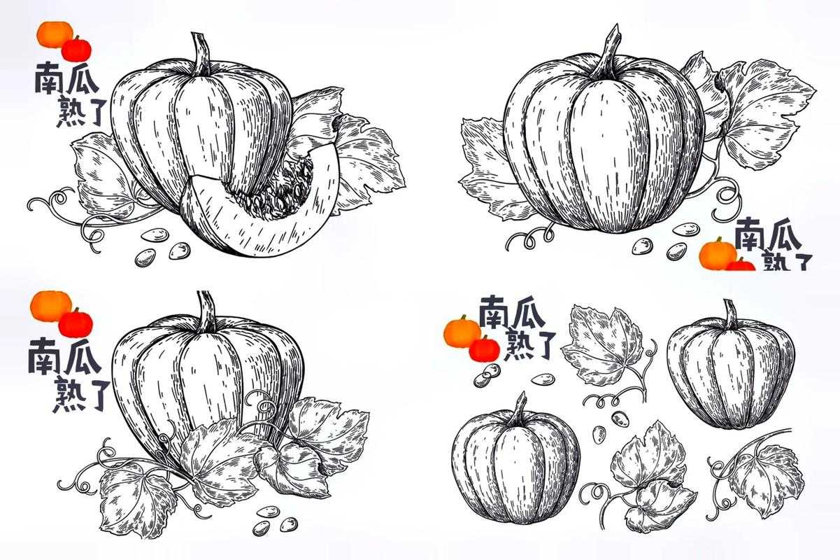 万圣节南瓜素描图片大全 - 创意手绘南瓜图案下载
