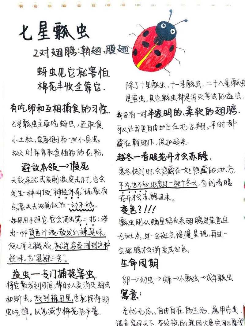 七星瓢虫为什么有7个黑点?揭秘背后的科学原因