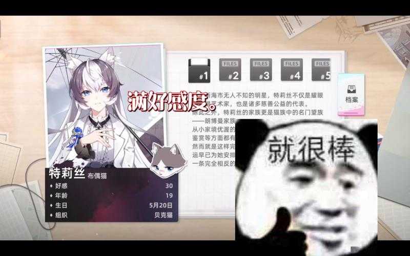 2025猫之城玩家实测好感度提升全攻略