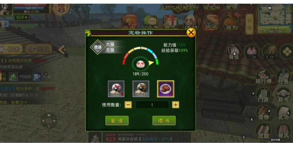 《热血江湖》迷踪幻影副本中的宠物搭配策略