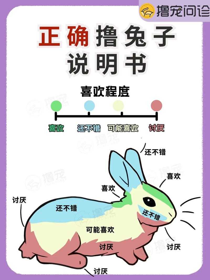 小白玩家必看的蹦蹦兔47过关技巧