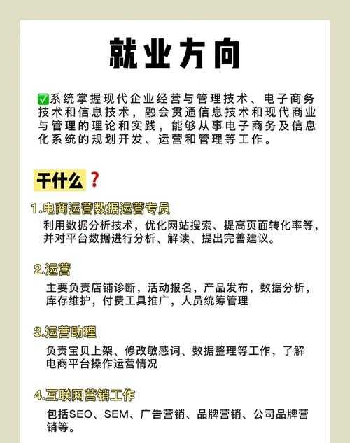 关于欧阳的配装与循环策略，以下为优化后的专业建议：