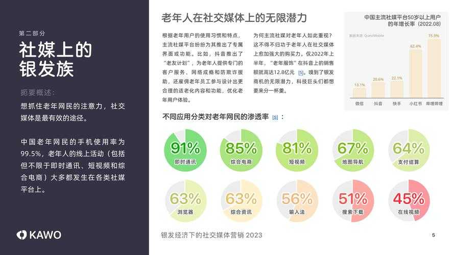 2025银趴现象与银发社交新生态