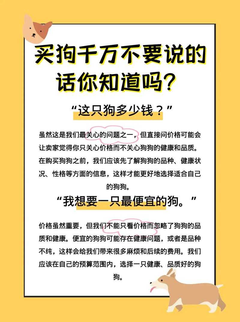 老公不在家狗狗的东西能用吗?一位狗主的心得分享