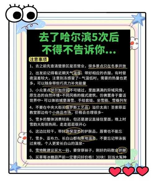 初学者指南:在冰城中生存的秘诀